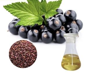 Black Currant Seed Oil