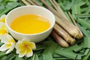 Citronella Oil