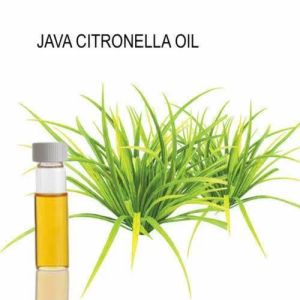 java citronella oil