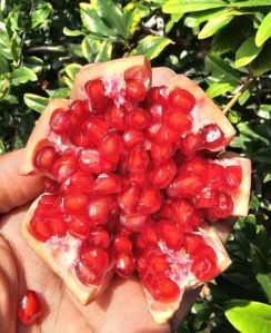 Export Quality Fresh pomegranate