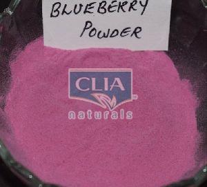 Blueberry Powder