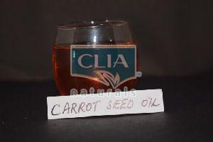skin care carrot seed essential oil