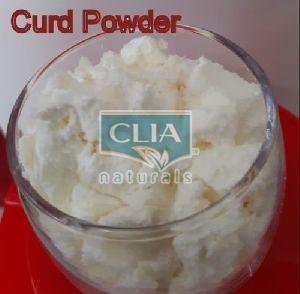 Curd Powder