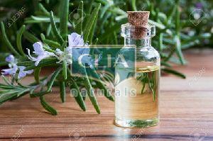 Rosemary Oil