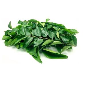 Fresh Curry Leaves