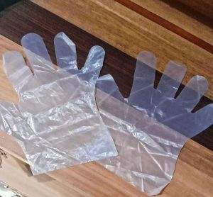 Compostable Disposable Gloves