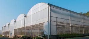 Aluminium Extruded Greenhouse Profiles