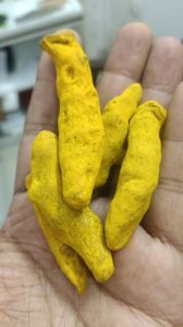 Turmeric