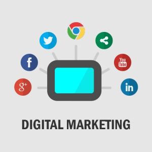 Digital Marketing Training