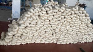Cotton Gassed Mercerised Yarn