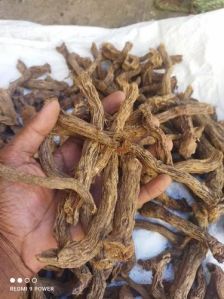 Dry Sugandh Mantri Root