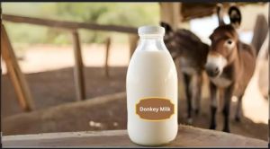 FRESH DONKEY MILK