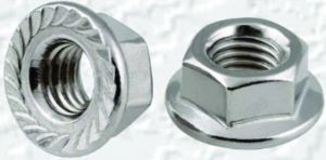 Flang Hex Nut