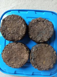 Cow Dung Cake