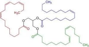 Ethyl Pelargonate