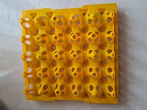 20 cavity hatching eggtray