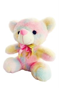 Multicolor Sitting Teddy Bear Soft Toy