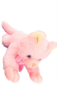 Sleeping Teddy Bear Soft Toy