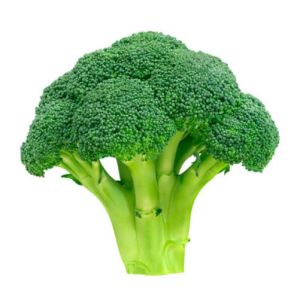 Fresh Broccoli