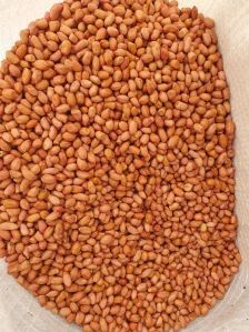 Legumes Peanut Seeds