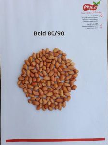 Oil G20 Bold Groundnut Seeds