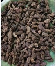 Black Cardamom Seeds