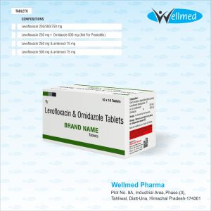 Levofloxacin 250 mg+ Ornidazole 500 mg (Not For Prostatitis)