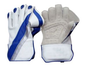 Cricket Wicket Keeping Gloves