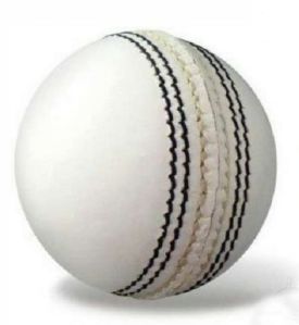 White Leather Cricket Balls