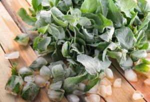 Green Frozen Mint Leaves