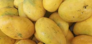 Mangoes