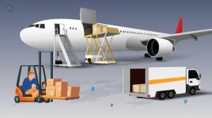 Domestic Courier Services