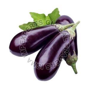 Fresh Brinjal