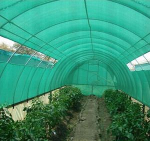 PVC Green Agro Shade Net