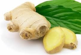 Ginger Export Consultancy Services