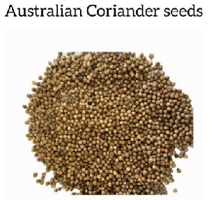 australian coriander seeds