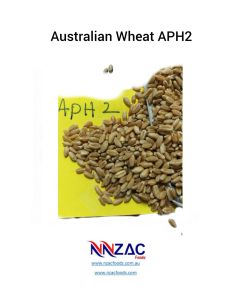 Australian Wheat APH2
