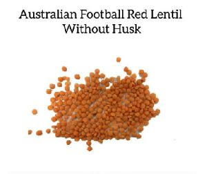 Australian Whole Red Lentil husk off