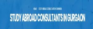 study abroad consultants