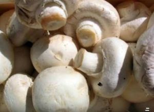 Button Mushrooms