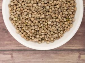 Organic Hemp Seeds