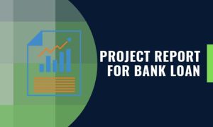 Project Report For Bank Loan Services
