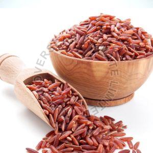 Red Rice