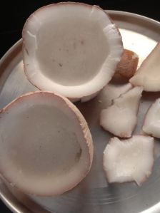 Dry Coconut Copra