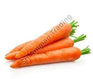 A Grade Carrot