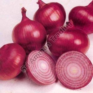Export Quality Red Onion