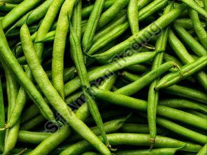 Natural Green Beans