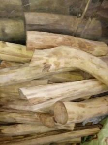 Natural White Sandalwood Logs