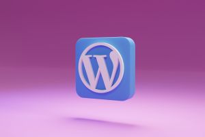 WordPress Web development services