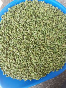 Cardamom